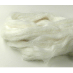 Organic carded cotton