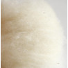 Organic carded wool with Lanolin