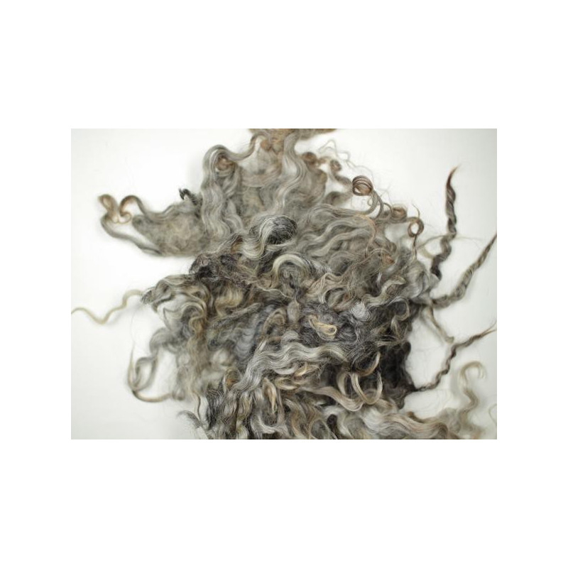 Gotland Greasy wool Fleece