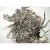 Gotland Greasy wool Fleece