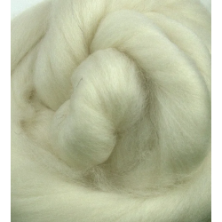 Polwarth Wool Top