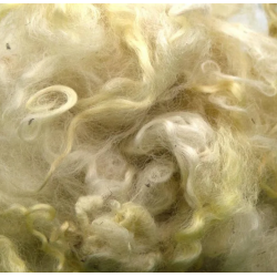 Wensleydale scoured fleece