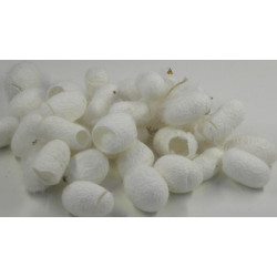 Silk cocoons cut